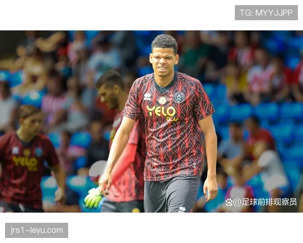 纽卡斯尔联队阵容深度解析：关键引援与战术升级助推竞争力跃升