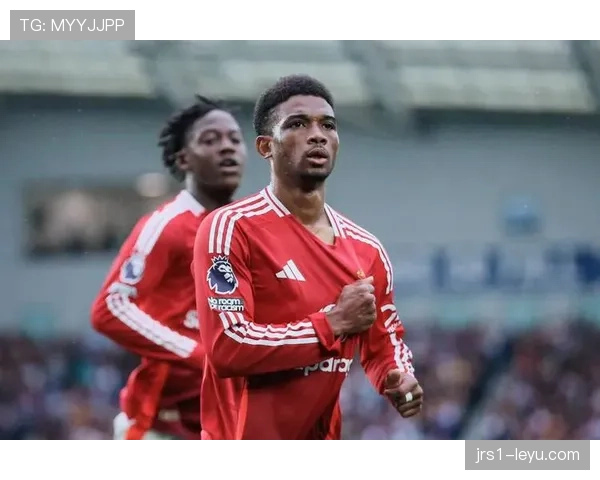 英超强势布莱顿 英超强势布莱顿